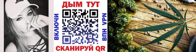 ГАШИШ Плёс
