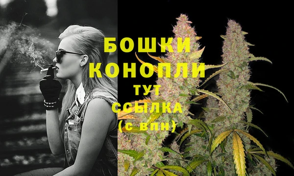 mdma Богородицк