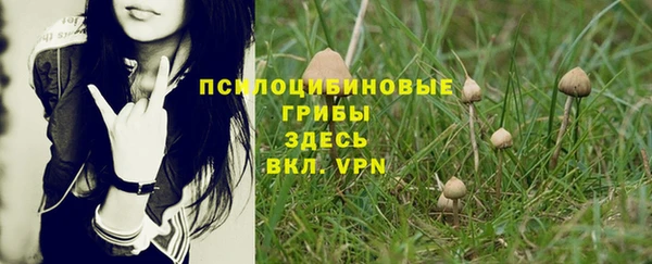 метадон Богородск