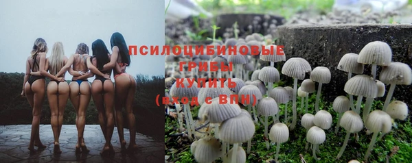экстази Богданович